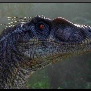 Meet your Posher, Dylan